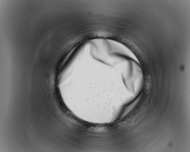 X0000100400639200807032015