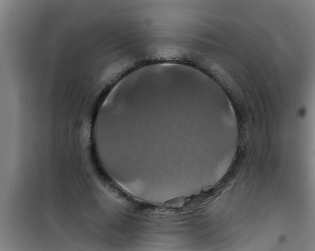 X0000100400640200807032015