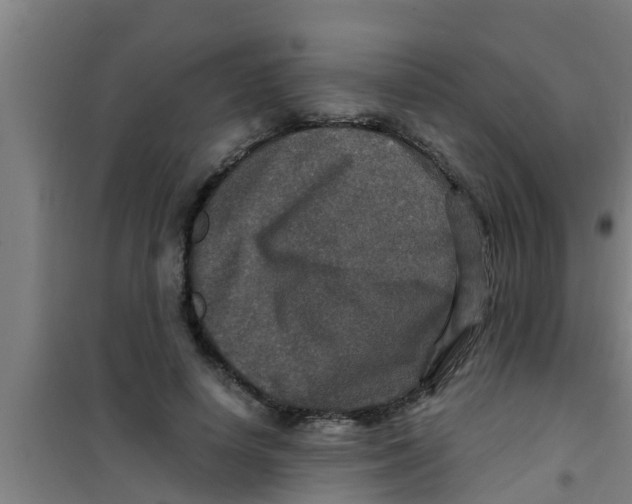 X0000100400642200807032015