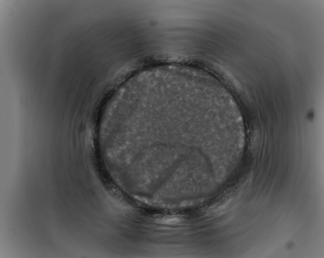 X0000100400643200807032015