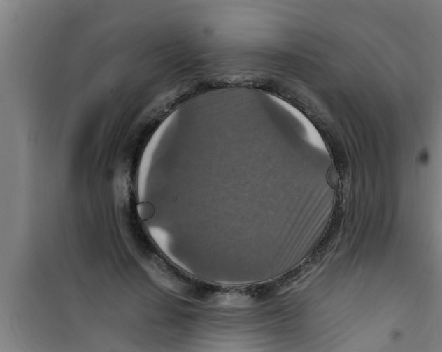 X0000100400644200807032015