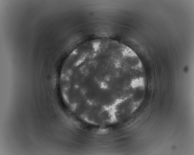 X0000100400647200807032015