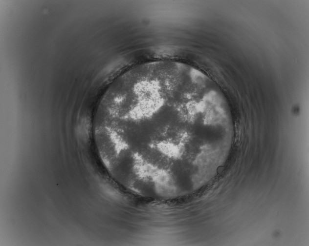 X0000100400648200807032015