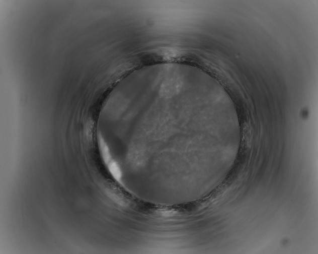 X0000100400650200807032015