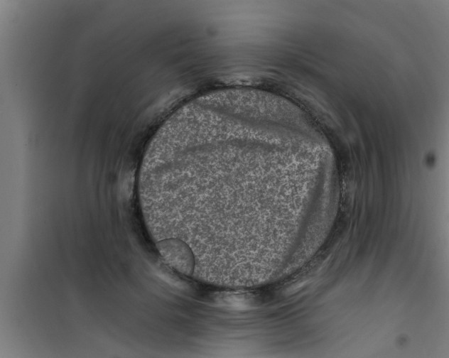 X0000100400652200807032015