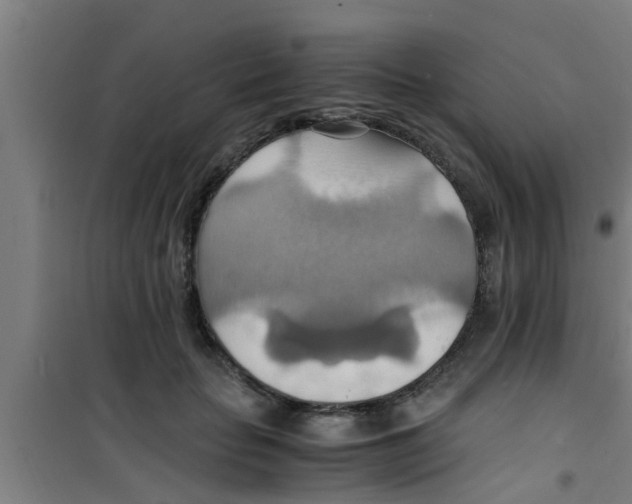 X0000100400653200807032015
