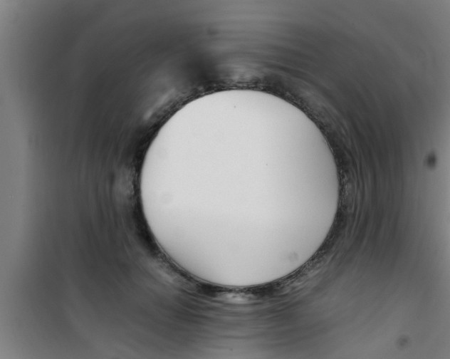 X0000100400654200807032015