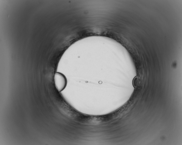 X0000100400656200807032015
