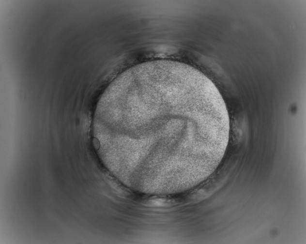 X0000100400657200807032015