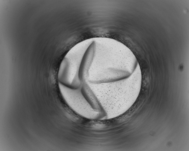 X0000100400658200807032015