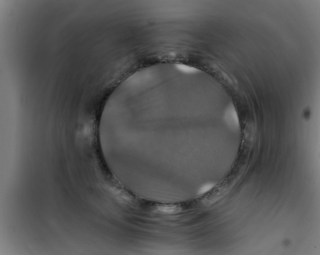 X0000100400659200807032015