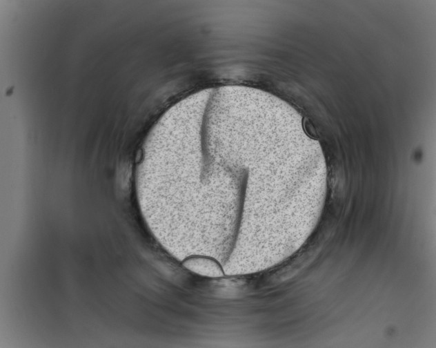 X0000100400660200807032015