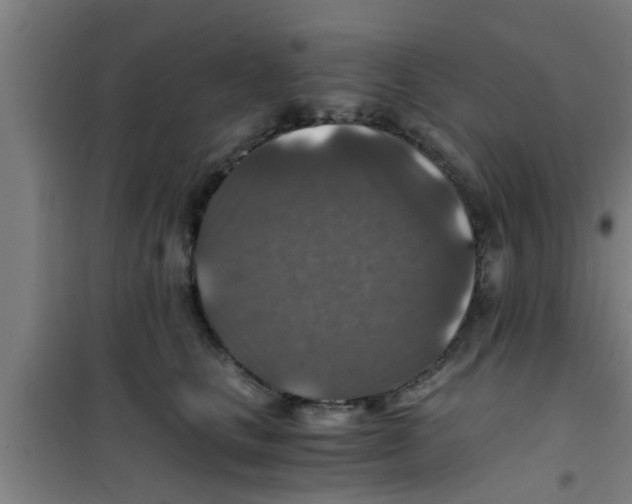 X0000100400661200807032015