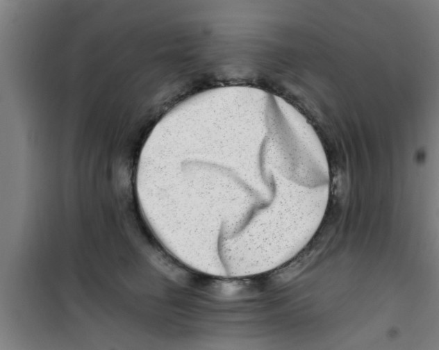 X0000100400662200807032015