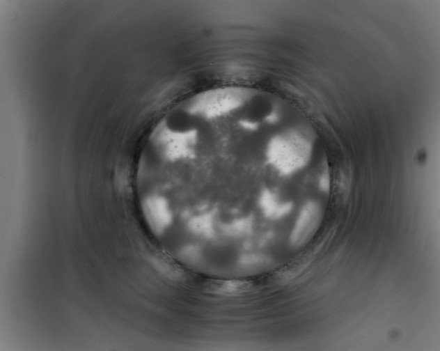 X0000100400663200807032015