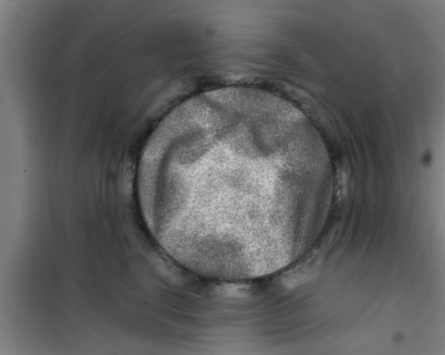 X0000100400664200807032015