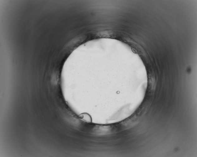X0000100400665200807032015