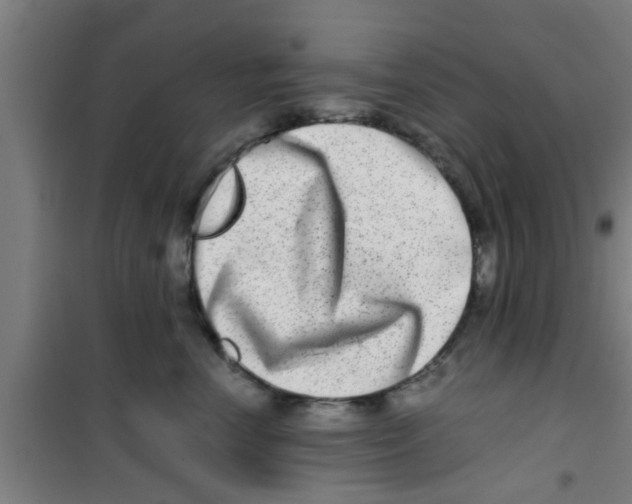 X0000100400666200807032015