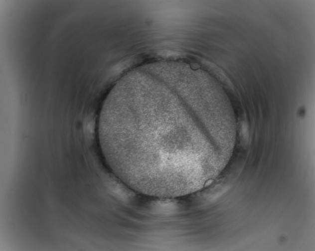 X0000100400668200807032015