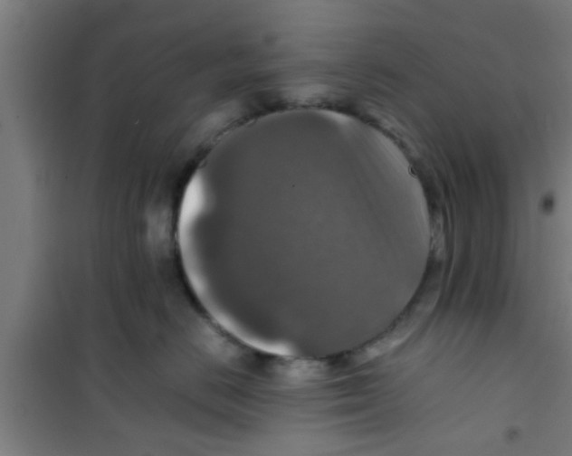 X0000100400670200807032015