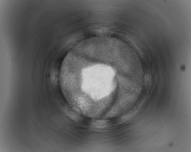 X0000100400671200807032015