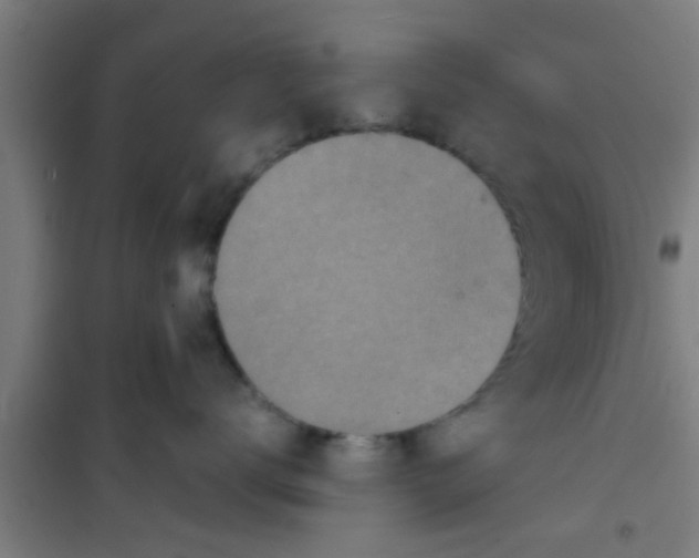 X0000100400672200807032015
