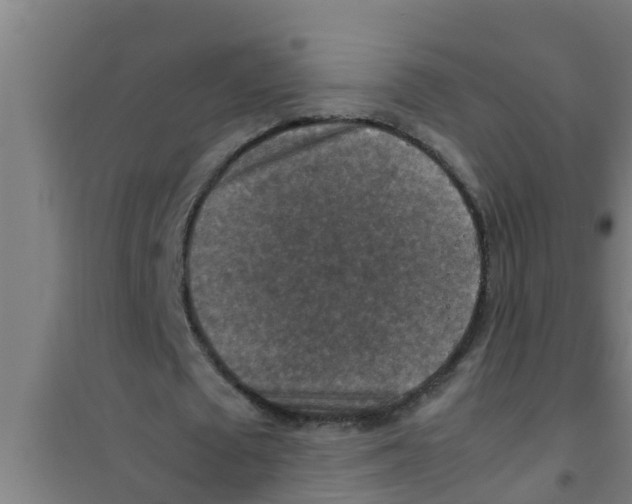 X0000100400673200807032014