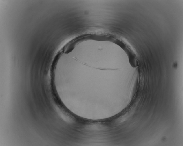 X0000100400674200807032014