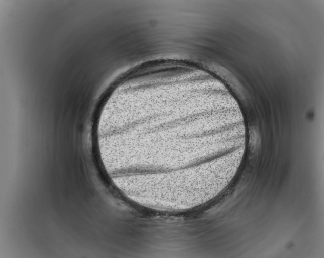 X0000100400676200807032014