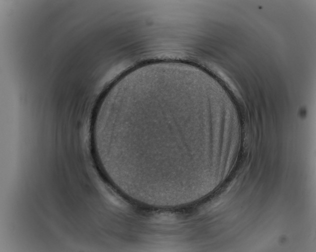 X0000100400677200807032014