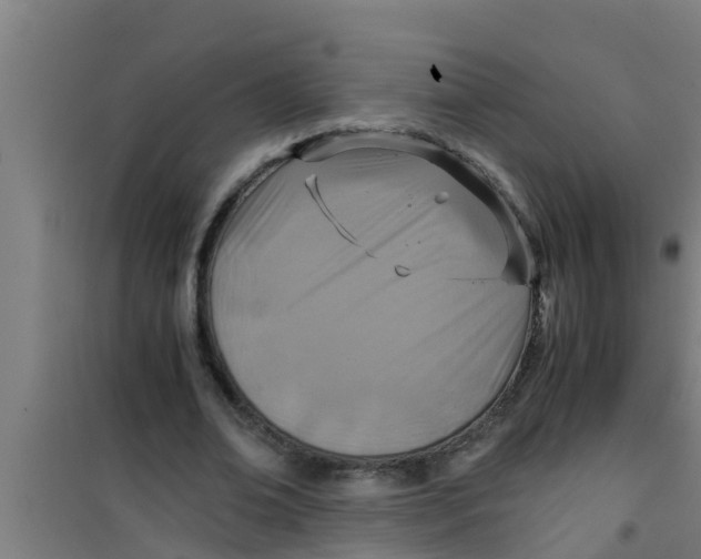 X0000100400678200807032014
