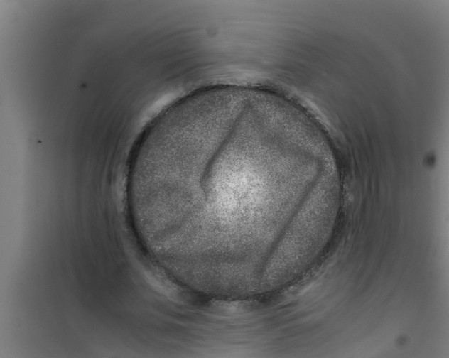 X0000100400679200807032014