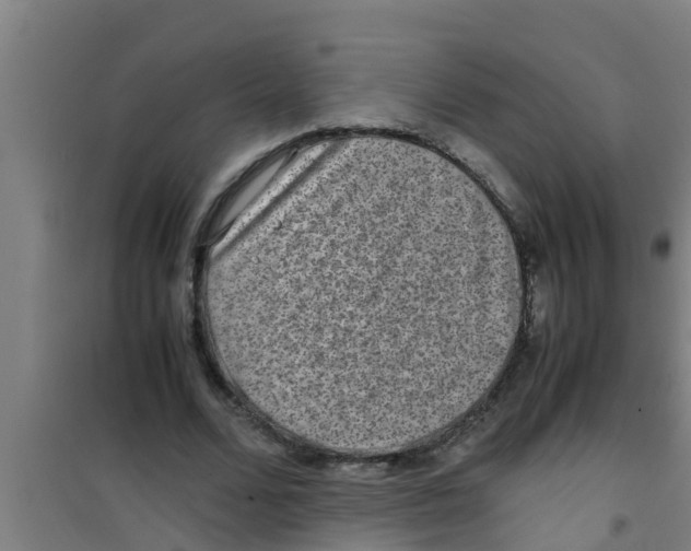 X0000100400680200807032014