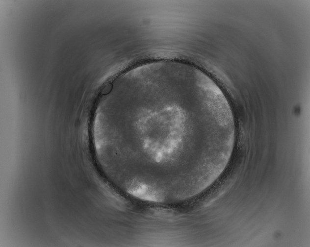X0000100400681200807032014