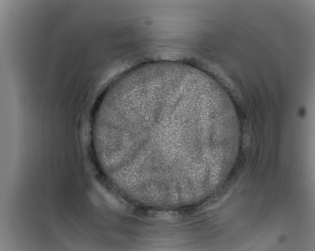 X0000100400683200807032014