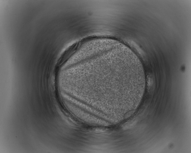 X0000100400684200807032014