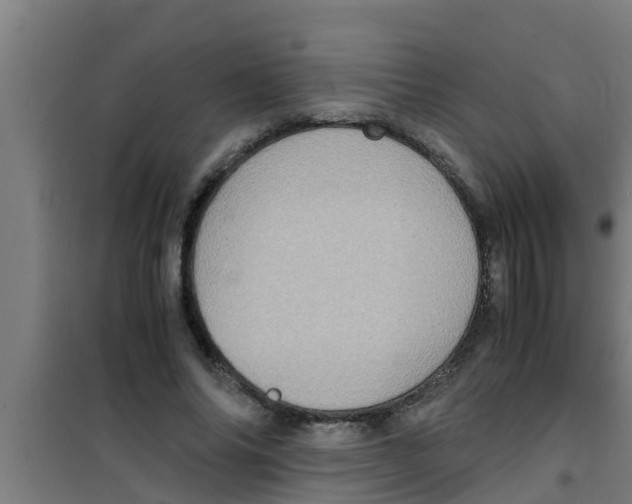 X0000100400686200807032014