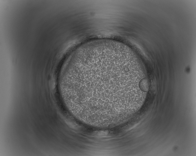 X0000100400687200807032014