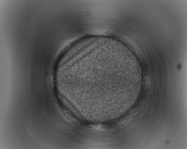 X0000100400688200807032014