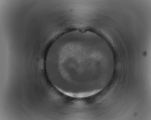 X0000100400689200807032014