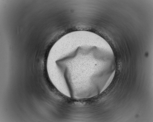 X0000100400690200807032014