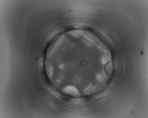 X0000100400691200807032014