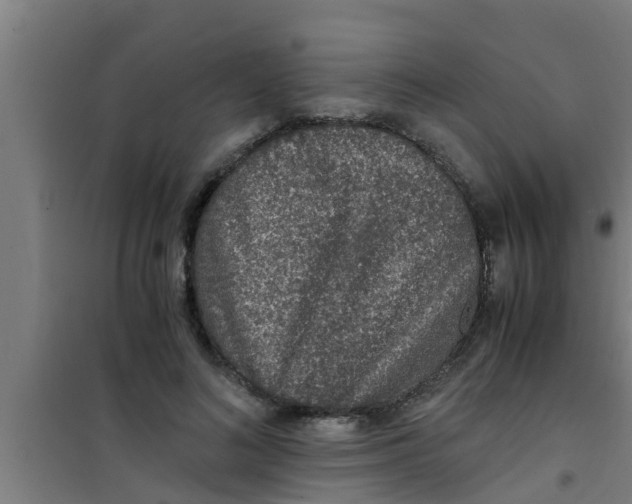 X0000100400692200807032014