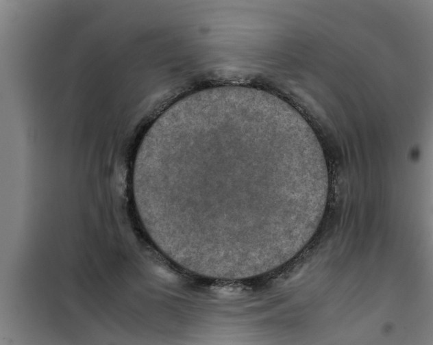 X0000100400693200807032014