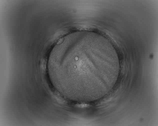 X0000100400695200807032014