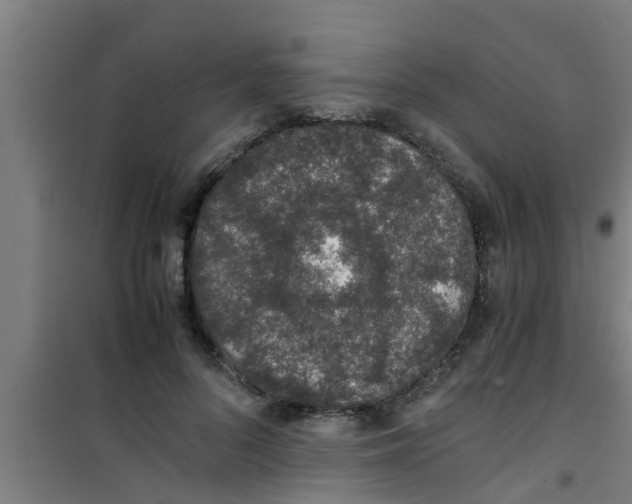 X0000100400696200807032014