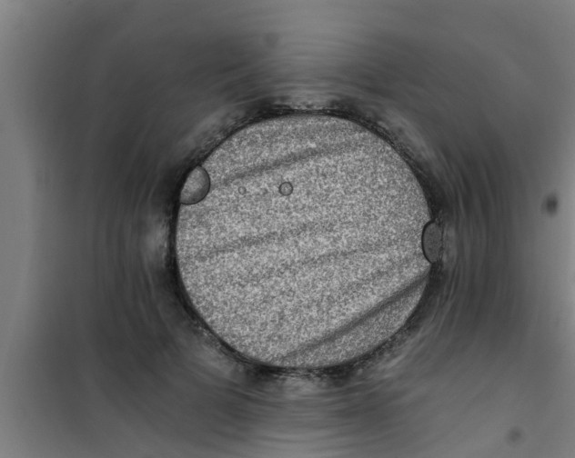 X0000100400697200807032014