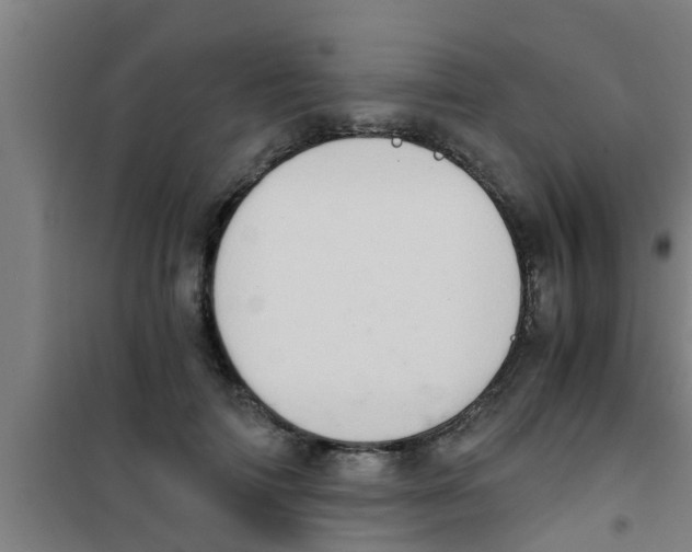 X0000100400698200807032014