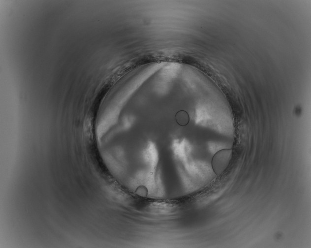 X0000100400699200807032014