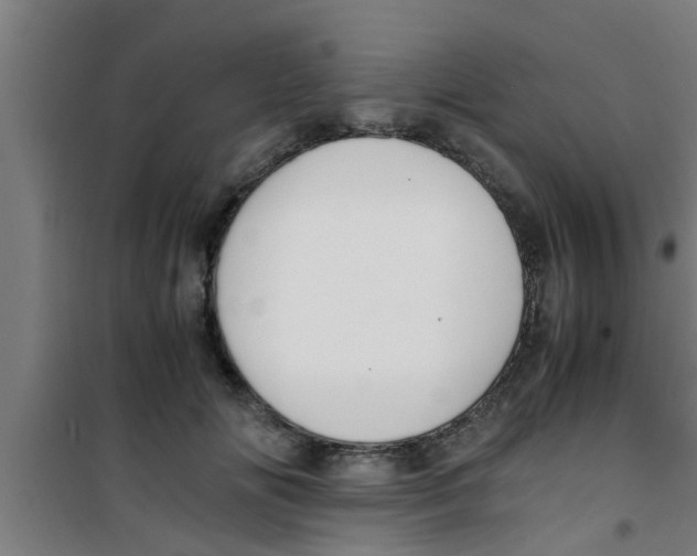 X0000100400702200807032014